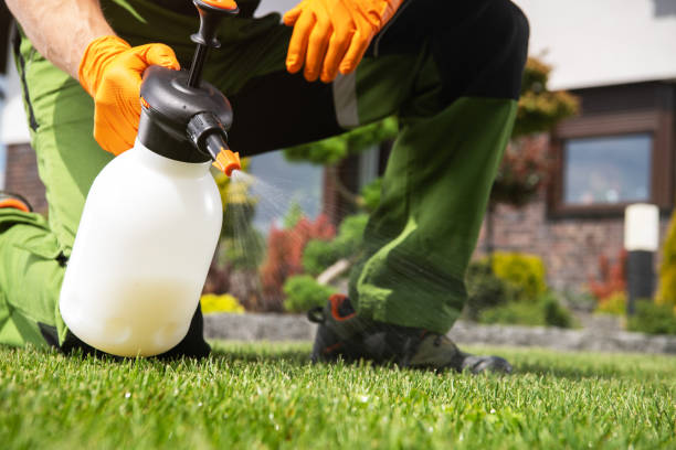 Best Local Pest Control Services  in Thiensville, WI