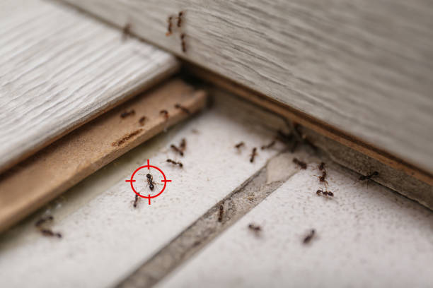 Best Commercial Pest Control Services  in Thiensville, WI