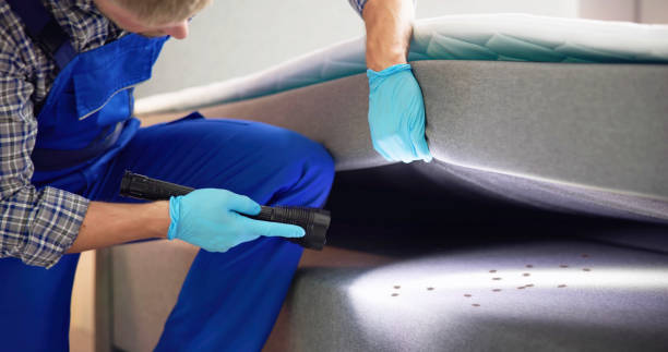 Best Wasp Removal Services  in Thiensville, WI
