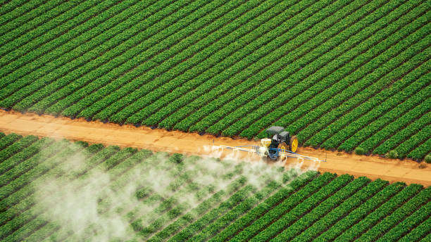 Best Termite Control Services  in Thiensville, WI