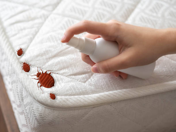 Pest Control Cost in Thiensville, WI
